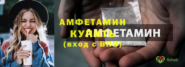гидра Абаза