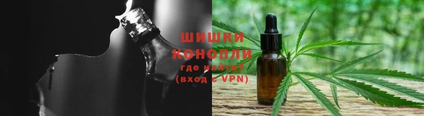 гидра Абаза