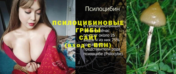 твердый Абдулино