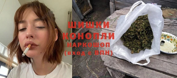 гидра Абаза