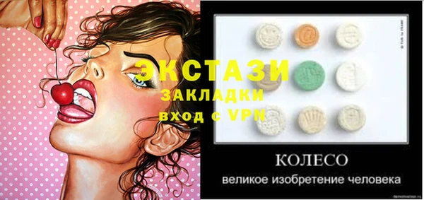 гидра Абаза