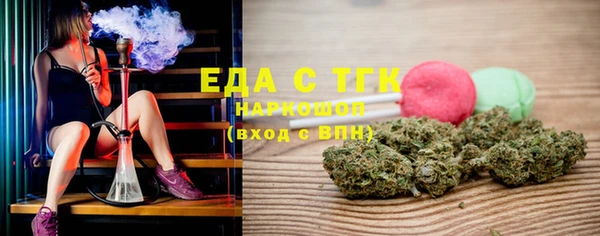 гидра Абаза