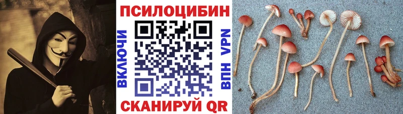 omg tor  купить наркоту  Астрахань  Галлюциногенные грибы MAGIC MUSHROOMS 