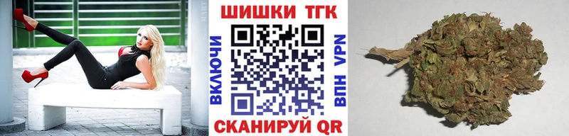 Бошки марихуана марихуана  купить   мориарти формула  Астрахань 